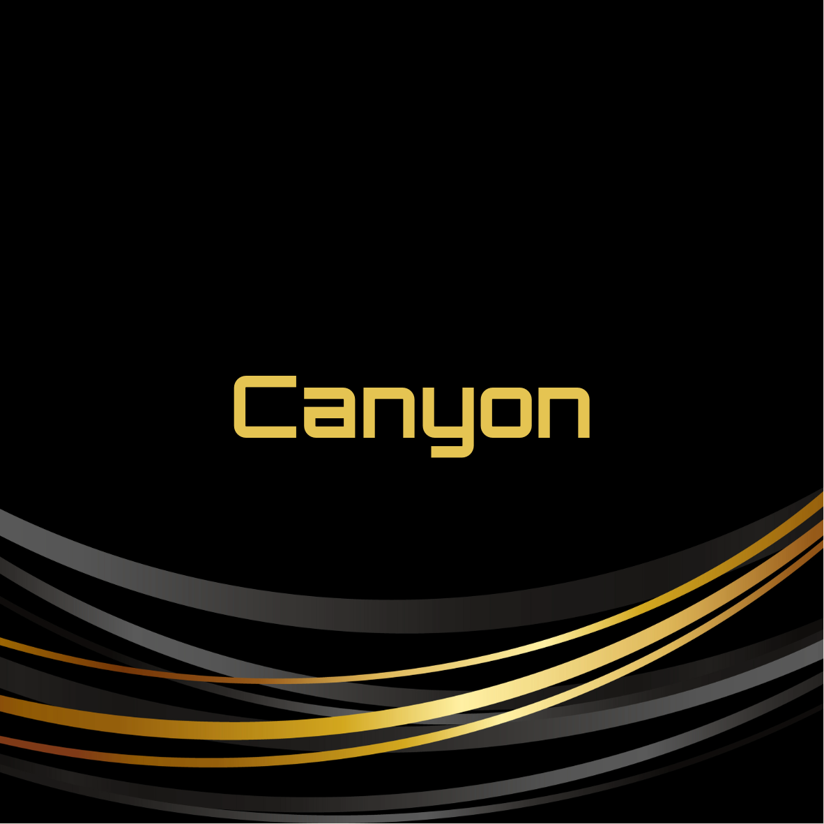 Canyon road bikes